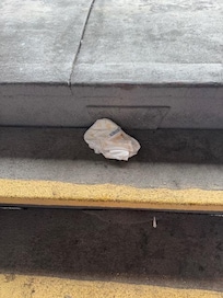 Parting gift on stairs