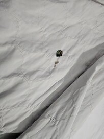 More burn marks on comforter