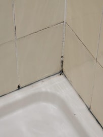 Mouldy Shower!!! absolutely Vile!