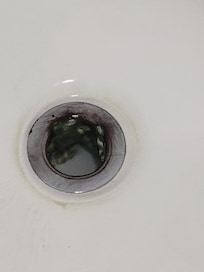 Gross drain in the shower
