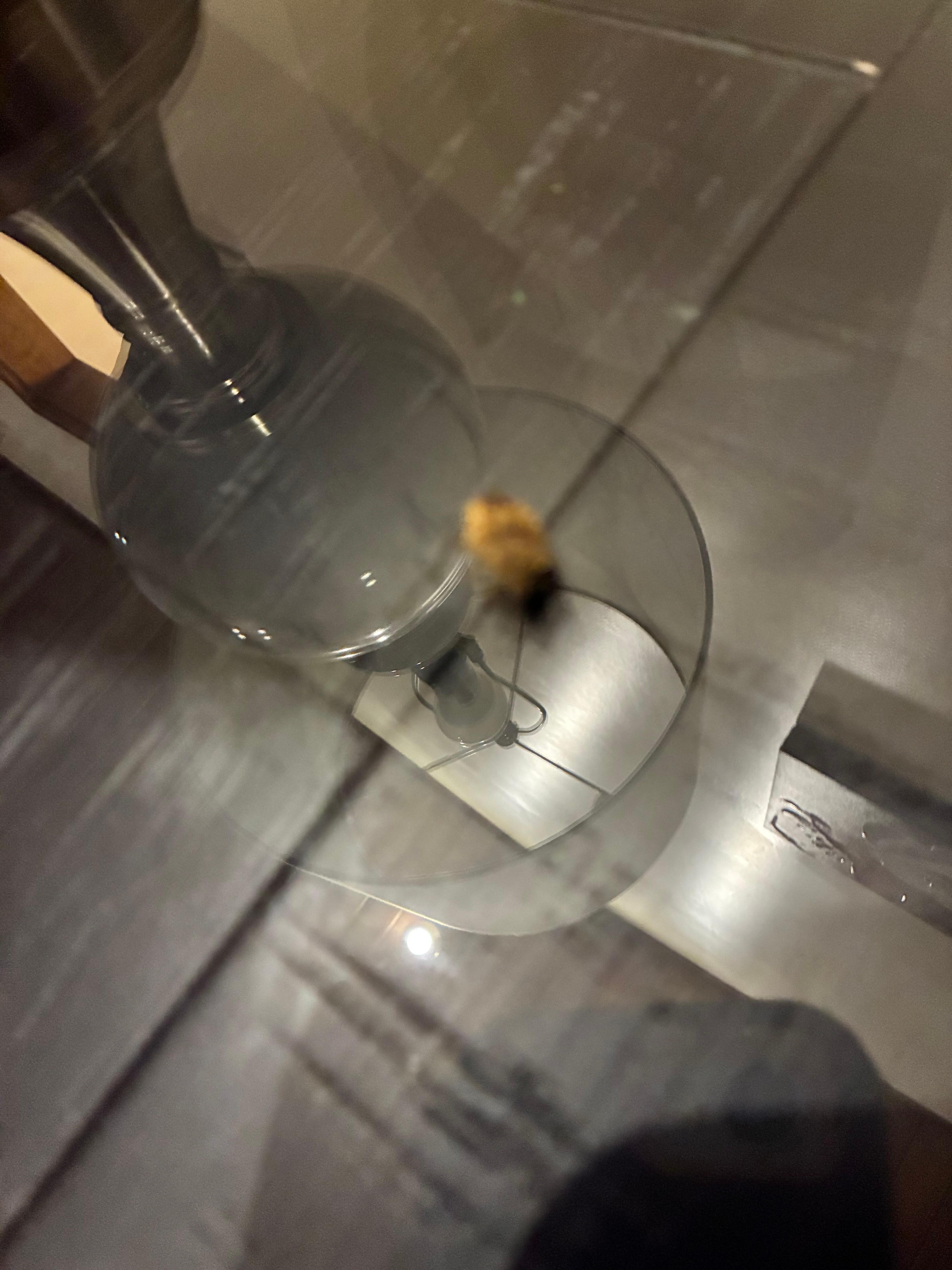 Dead bug on the end table 