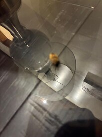 Dead bug on the end table