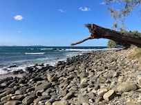 Low tide at the point.