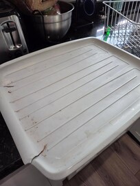 Dirty dish rack to use since dishwasher didn't work
