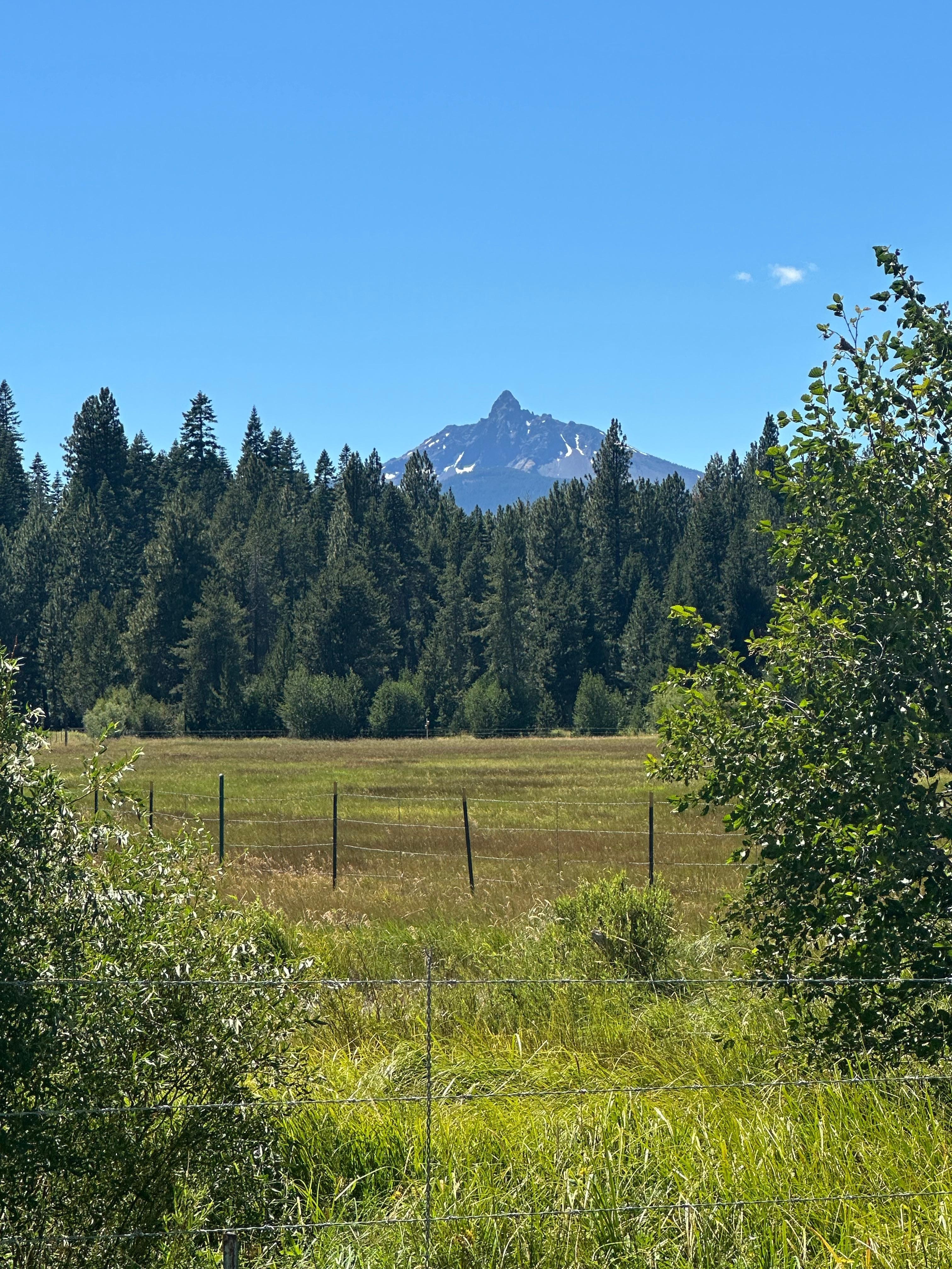 Mt Washington from the Meadow 
