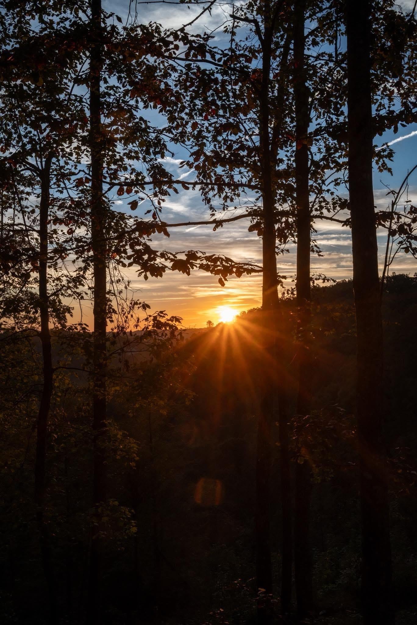 Sunrise for the early birds ❤️