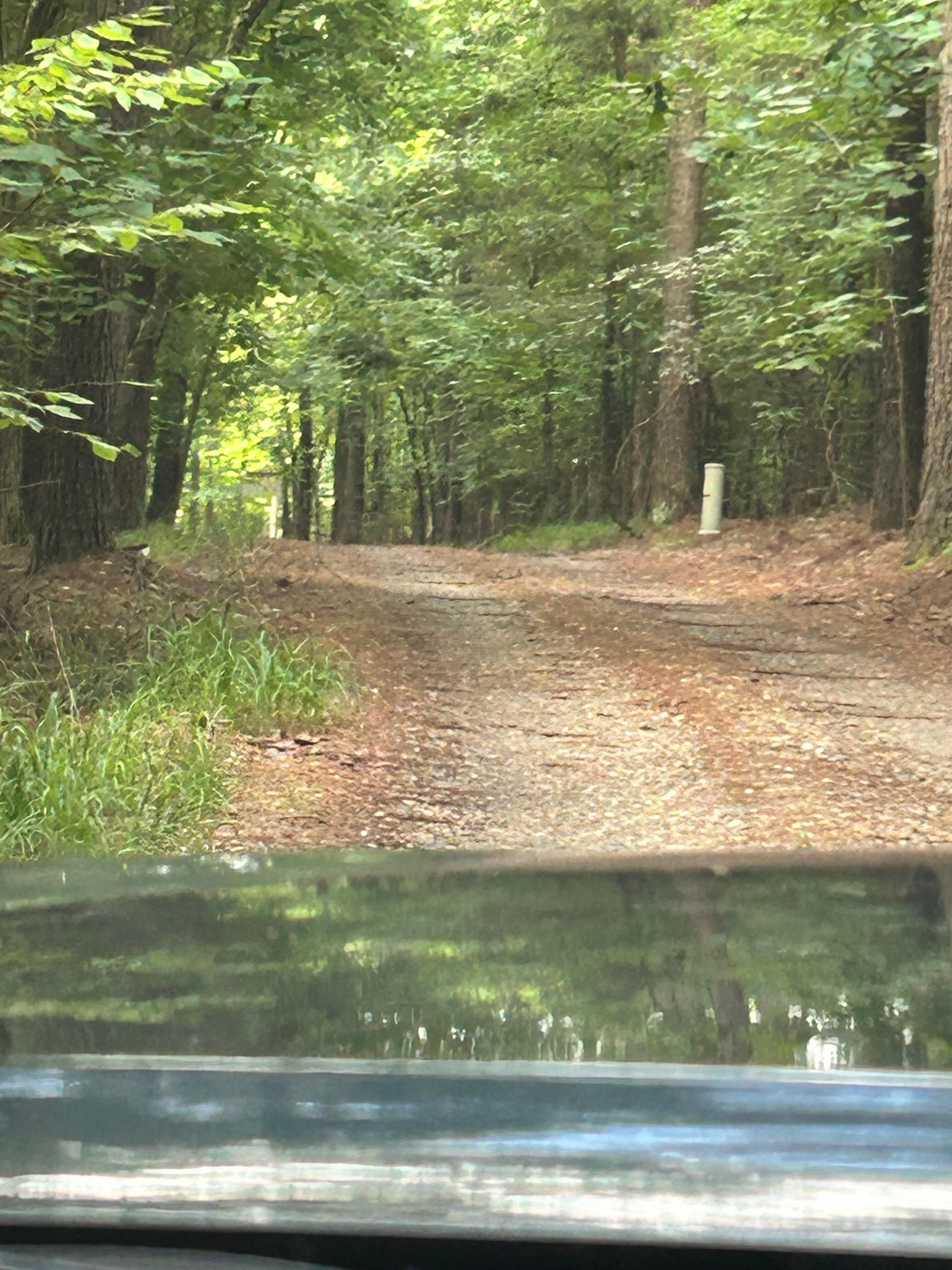 The road going to cabin. Glad we were in the truck and not the car.