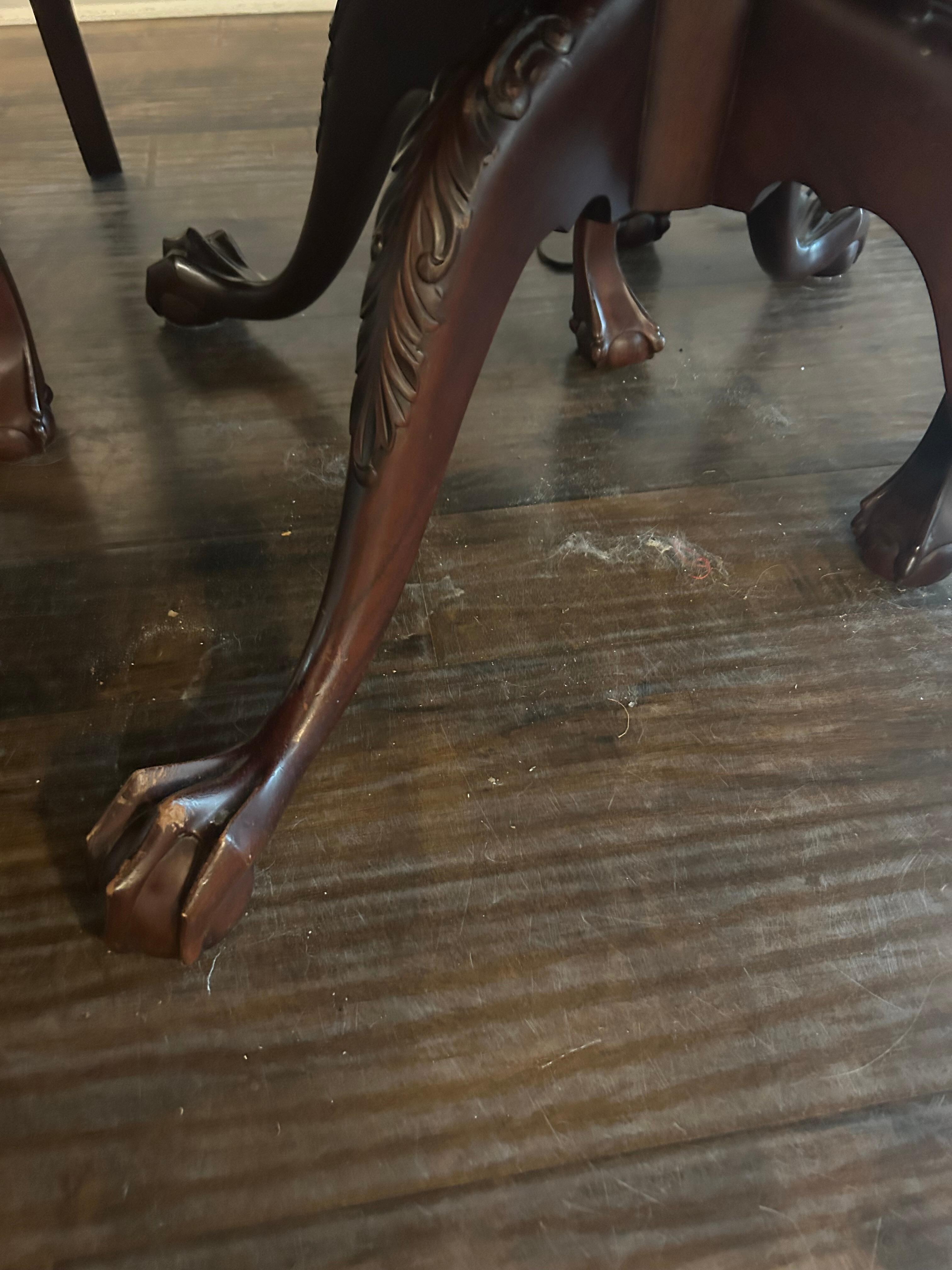 Dog hair, we did not have a dog. 