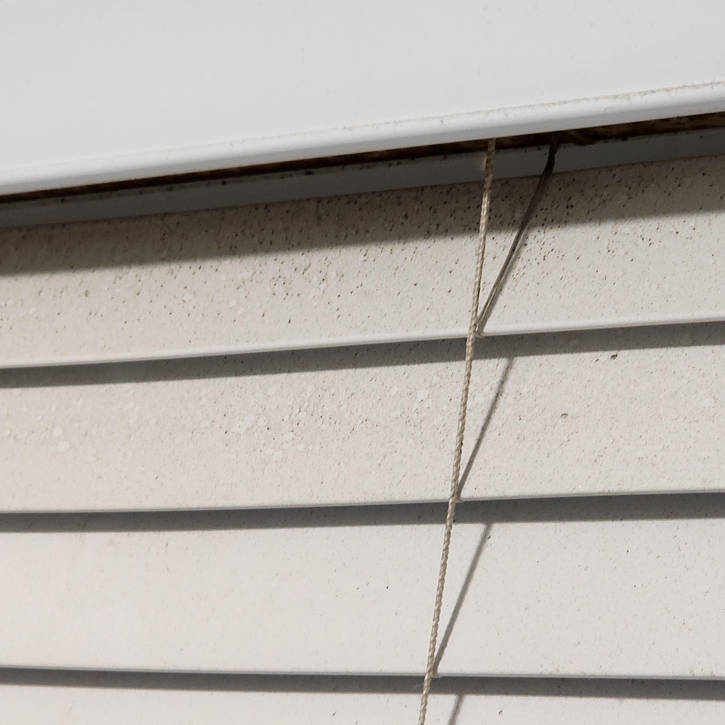Dirty blinds