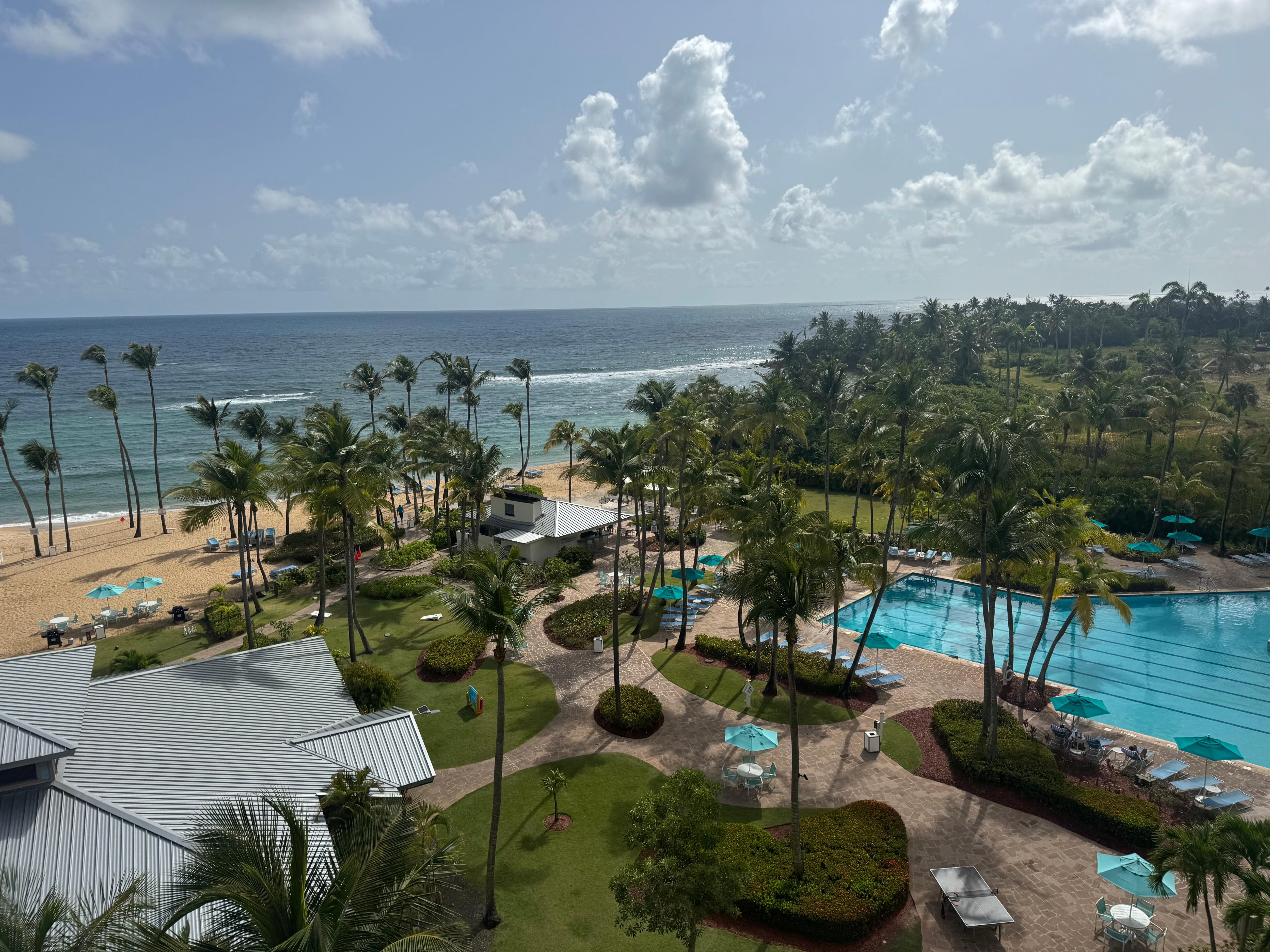 From the balcony 