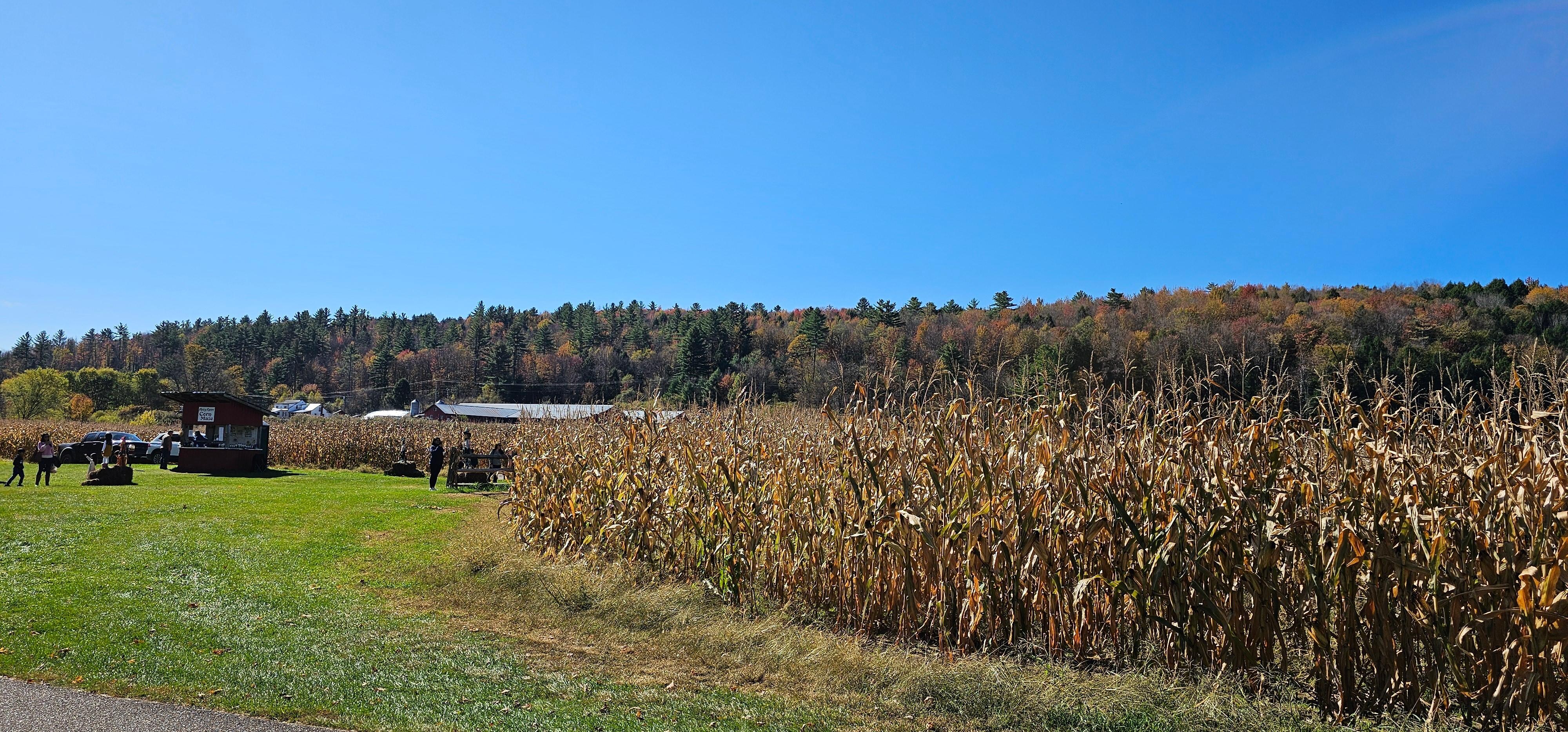 Paved biking or walking path. Very family friendly. Had a corn maze, we didn't stop but looked like fun.  