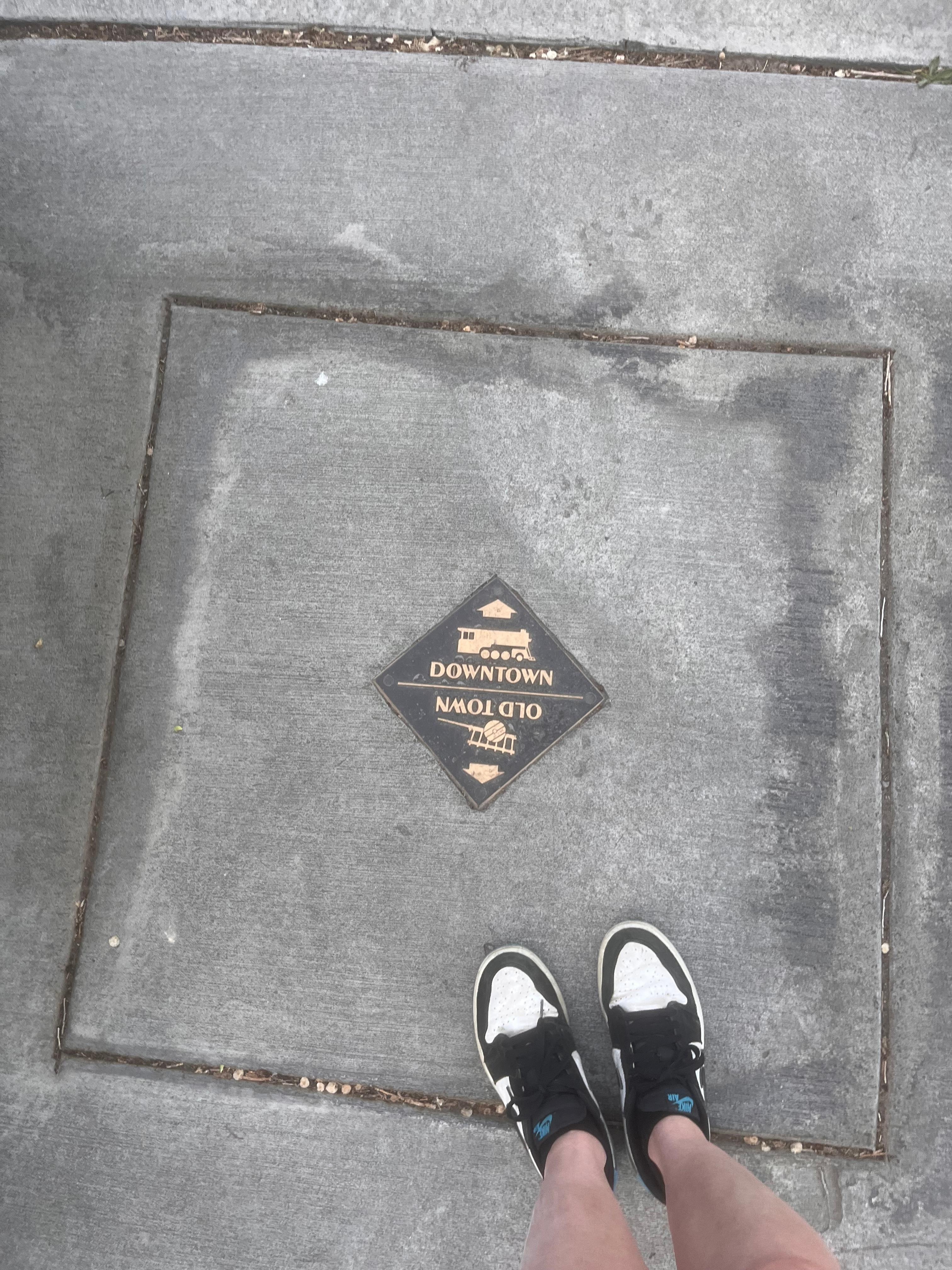 Found this during our evening stroll in the neighborhood 