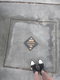 Found this during our evening stroll in the neighborhood