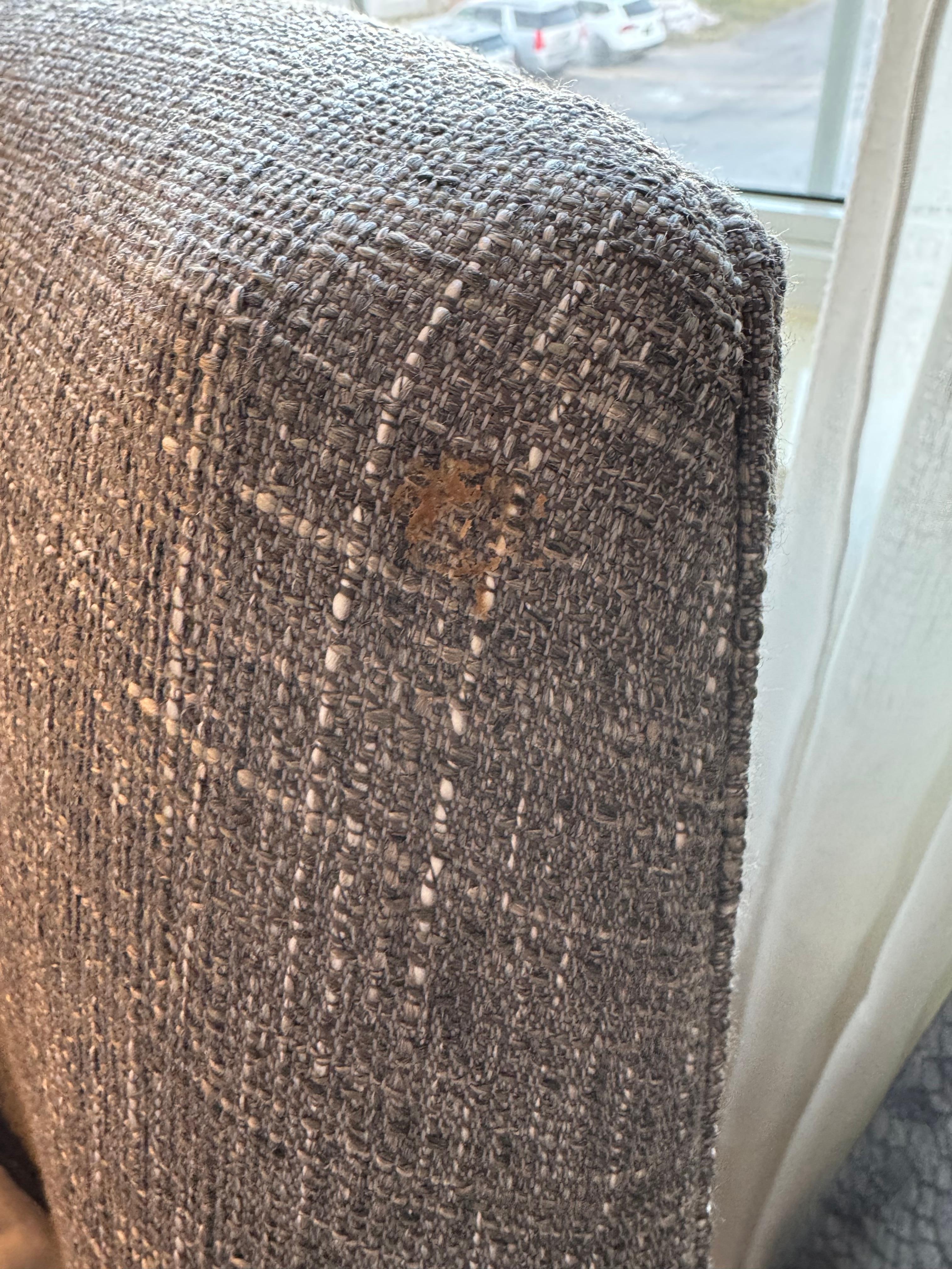 Stain on chair in bedroom