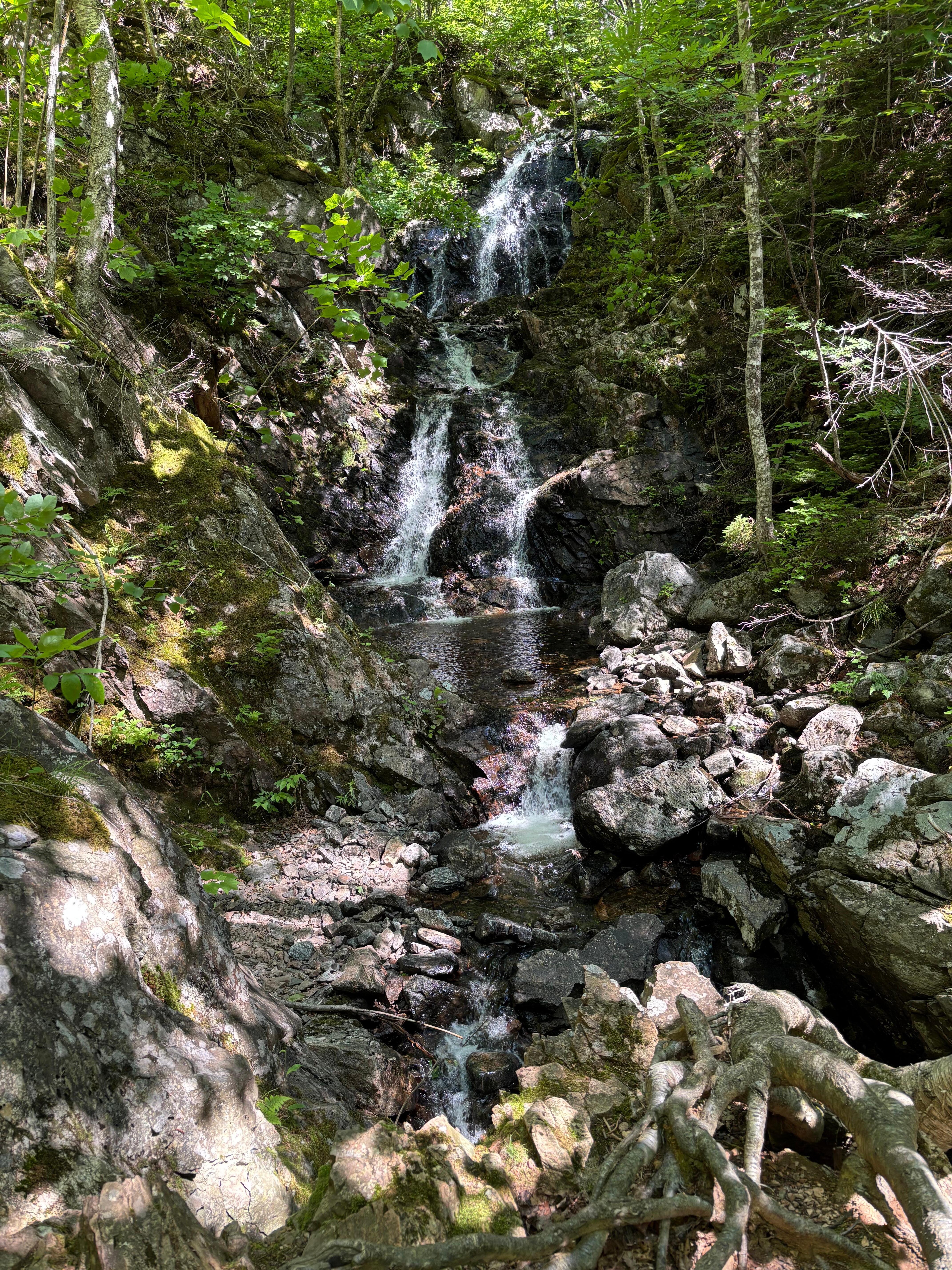 Waterfalls on the Corney Brook Trail