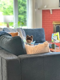 Lots of space in the living room