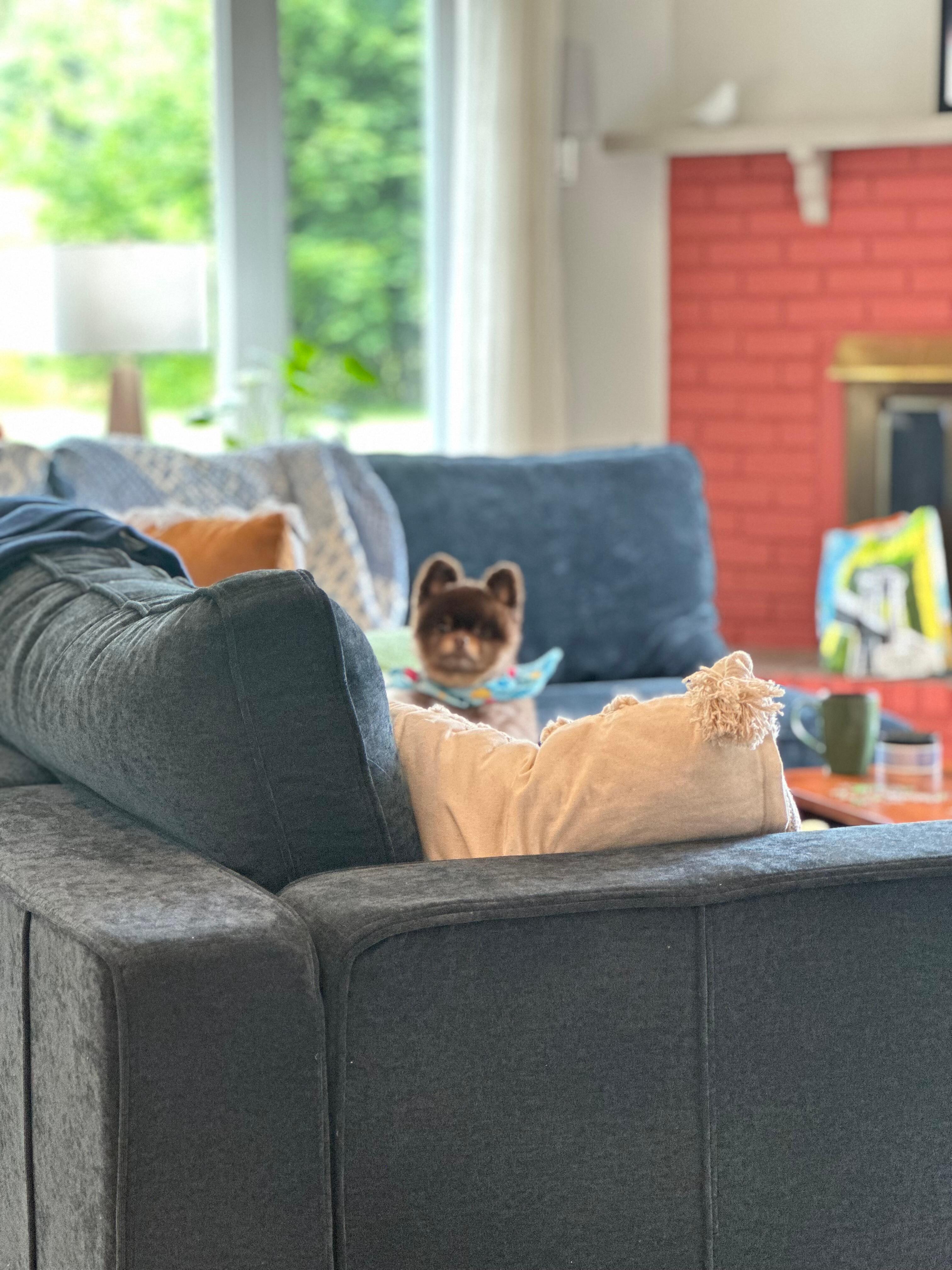 Lots of space in the living room