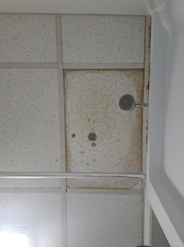 Moldy shower ceiling
