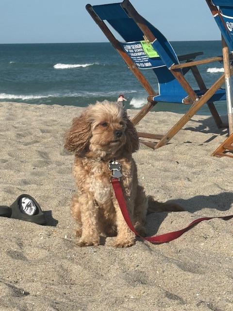 Enjoying some sun!