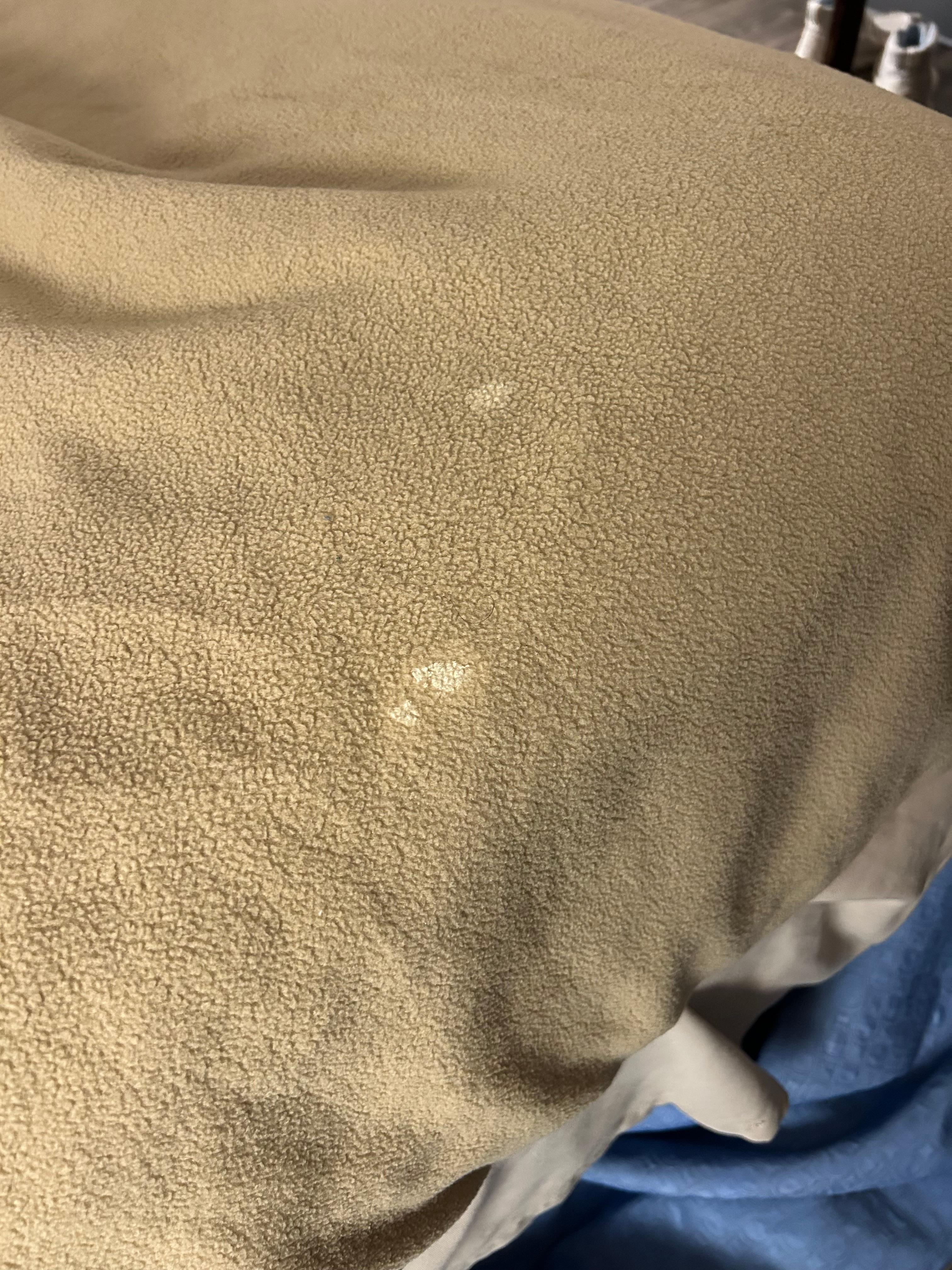 Crusty white something on the blankets