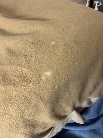 Crusty white something on the blankets