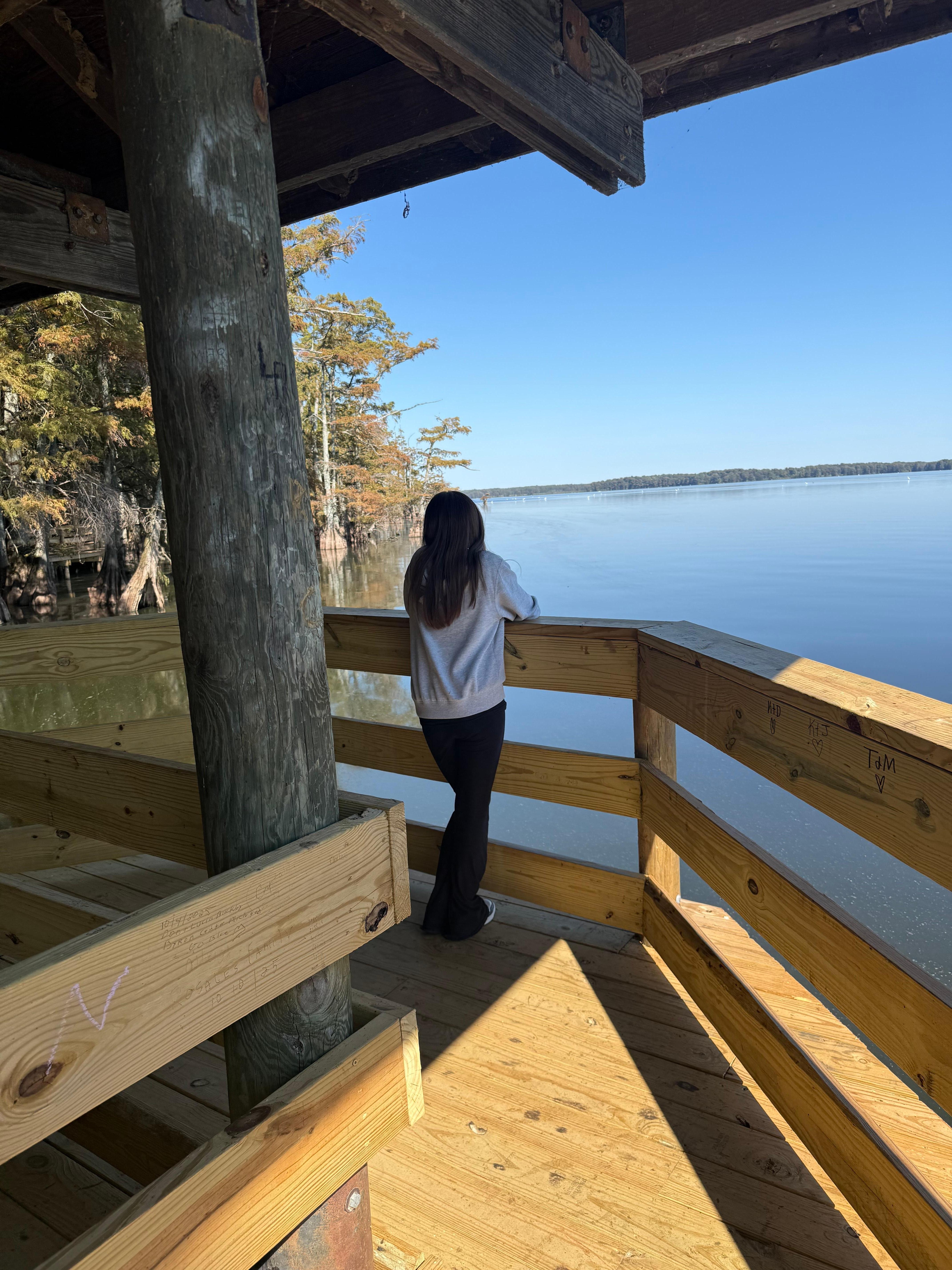 Such a beautiful view of Reelfoot Lake. 
