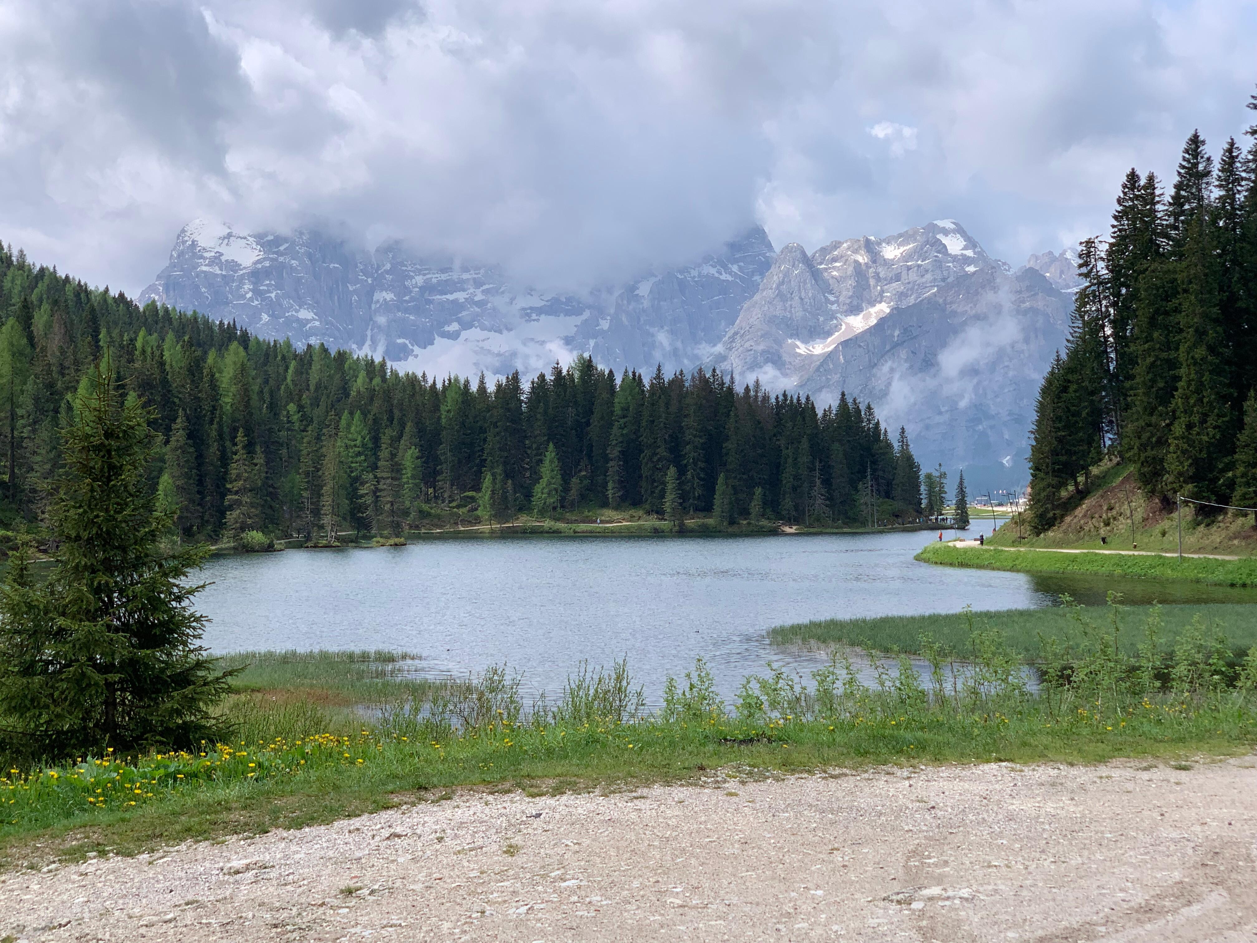 View from our walk around the lake.