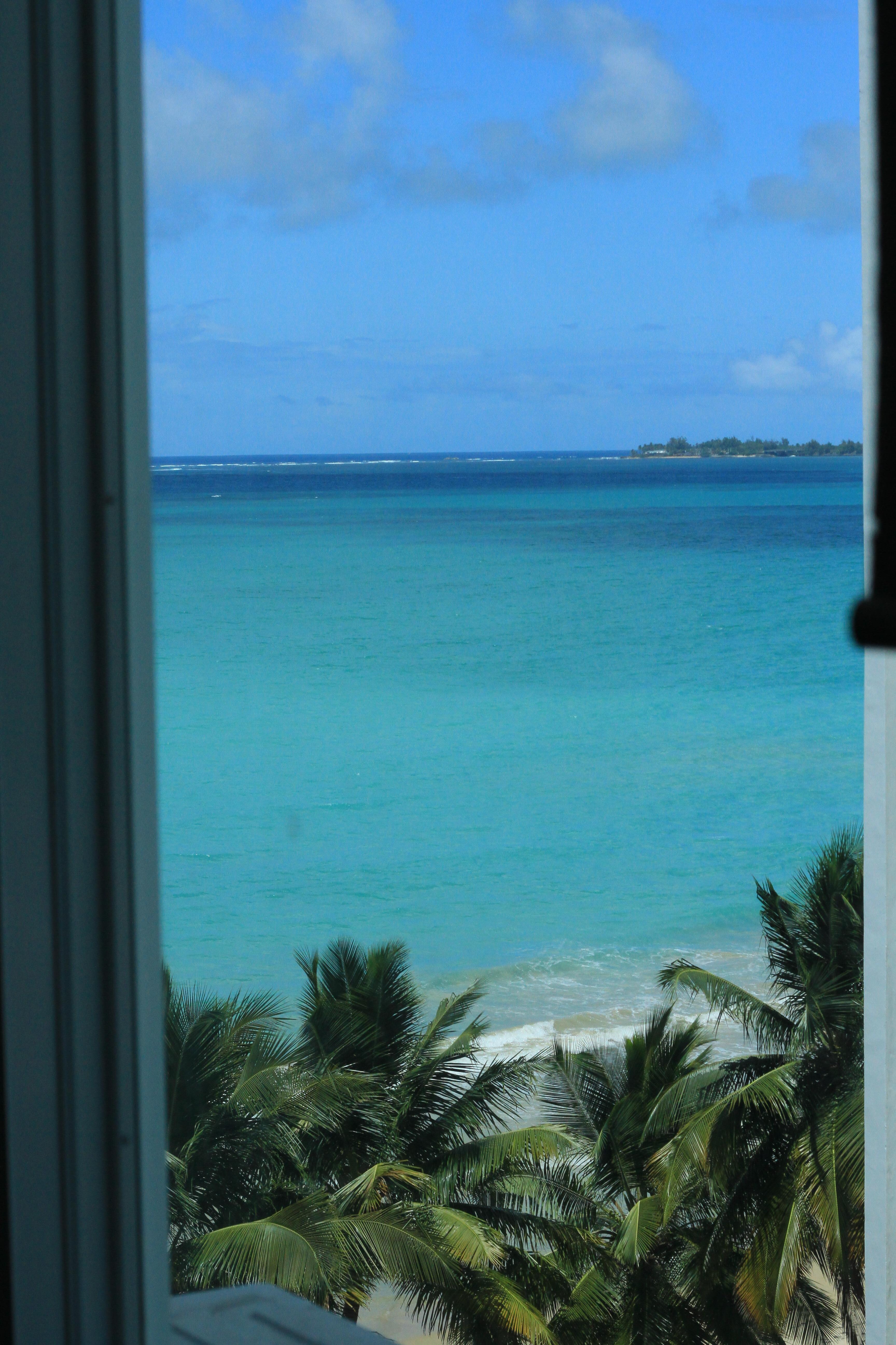 View from the unit