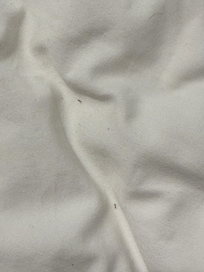 Fourmis dans la chambre principale