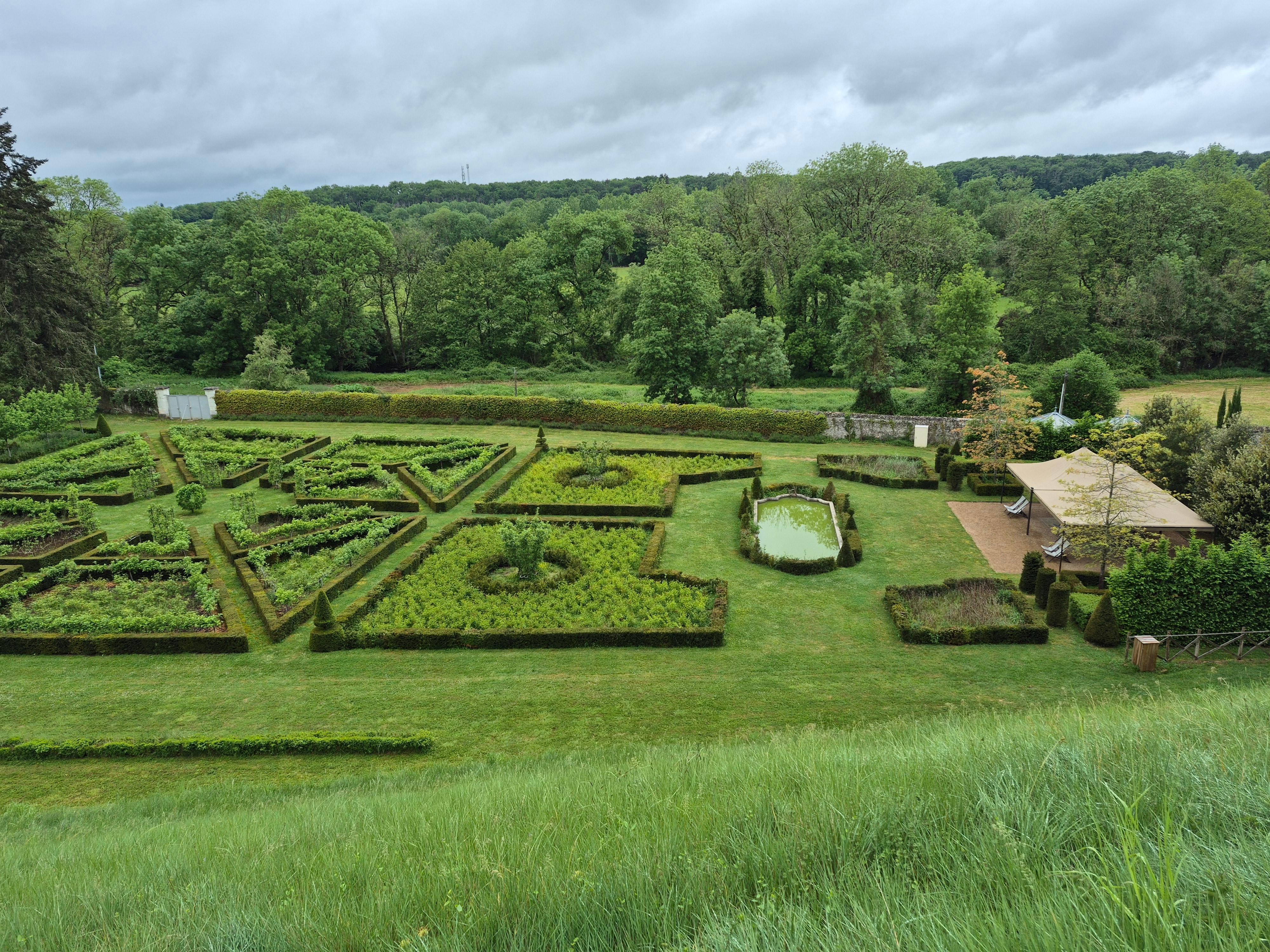 The garden