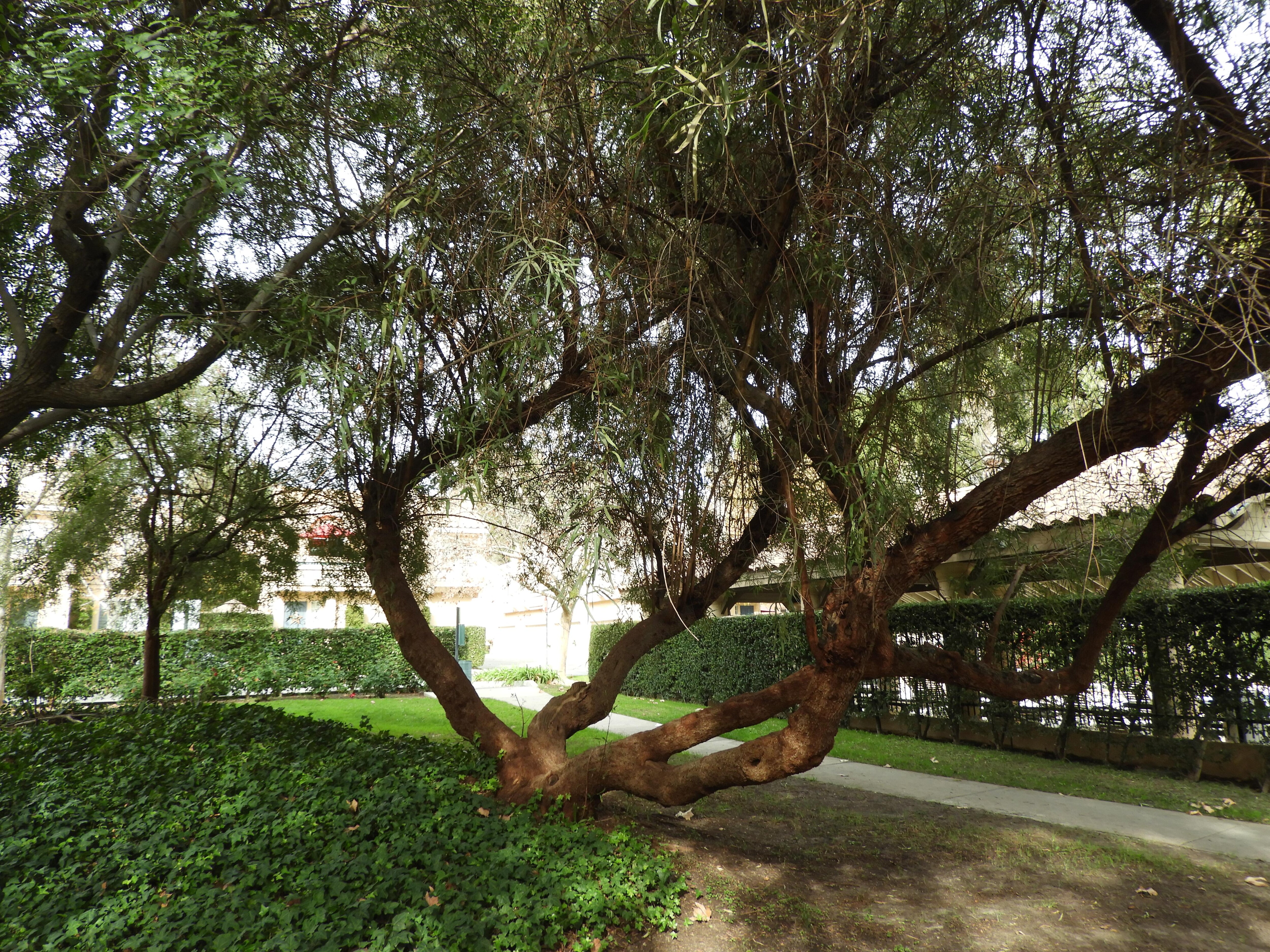 Amenities available, playgrounds for kids and swiming pool.