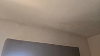 Paint over mold