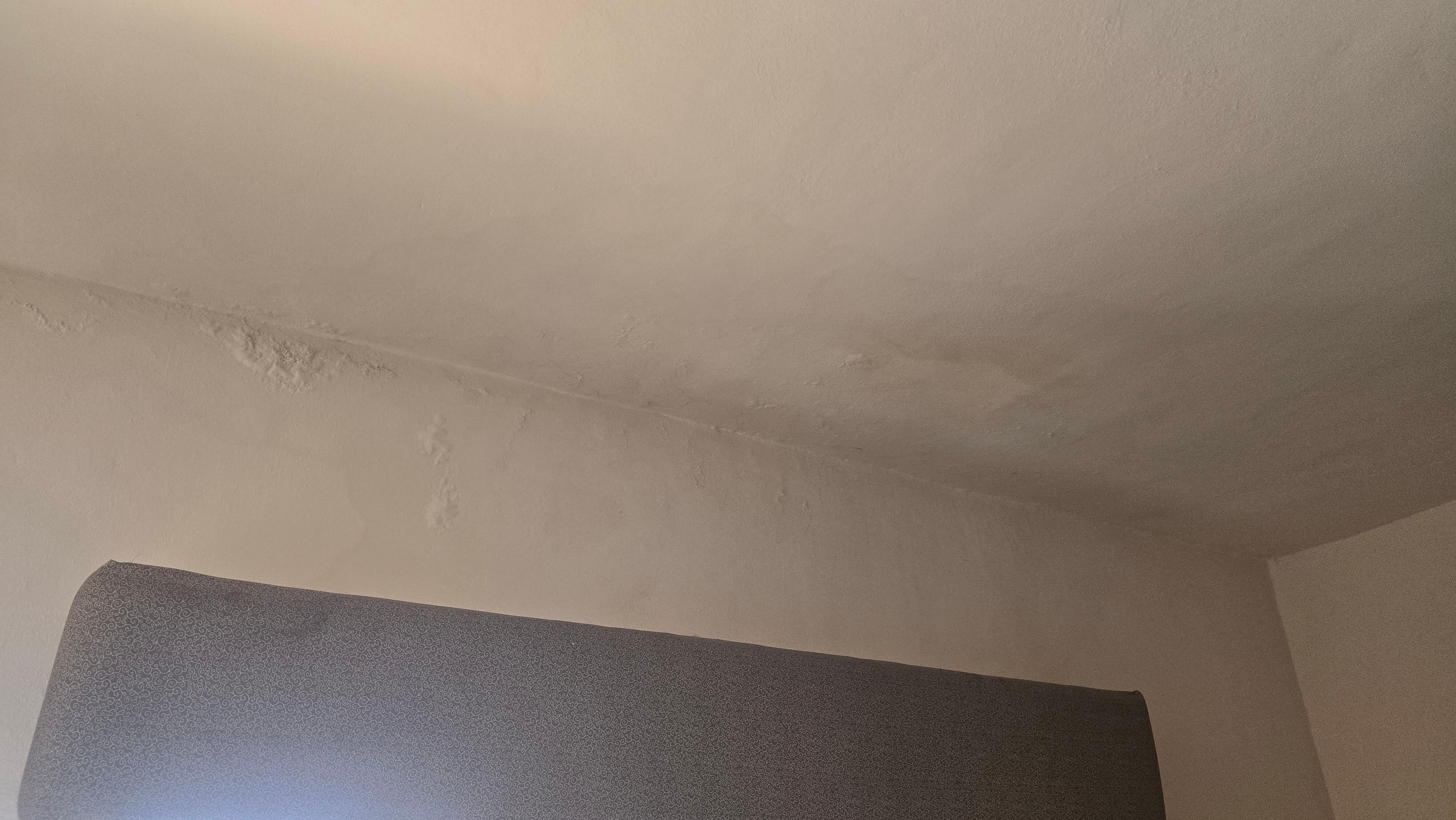 Paint over mold