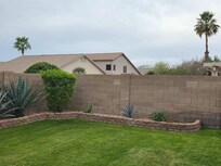 Backyard view