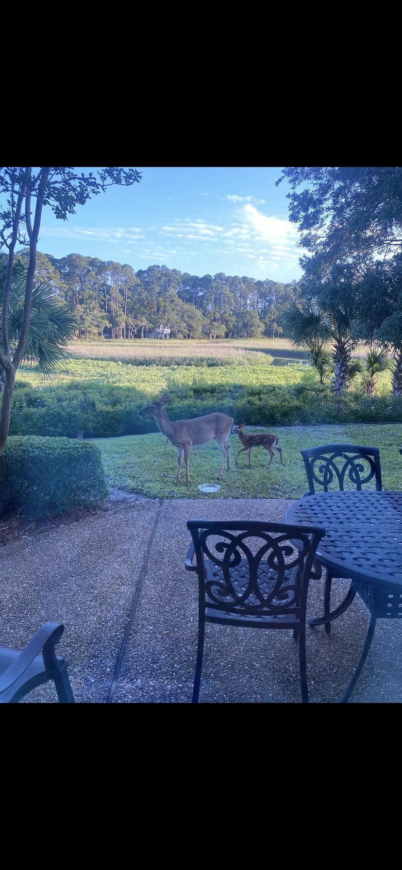 Morning coffee vibes 