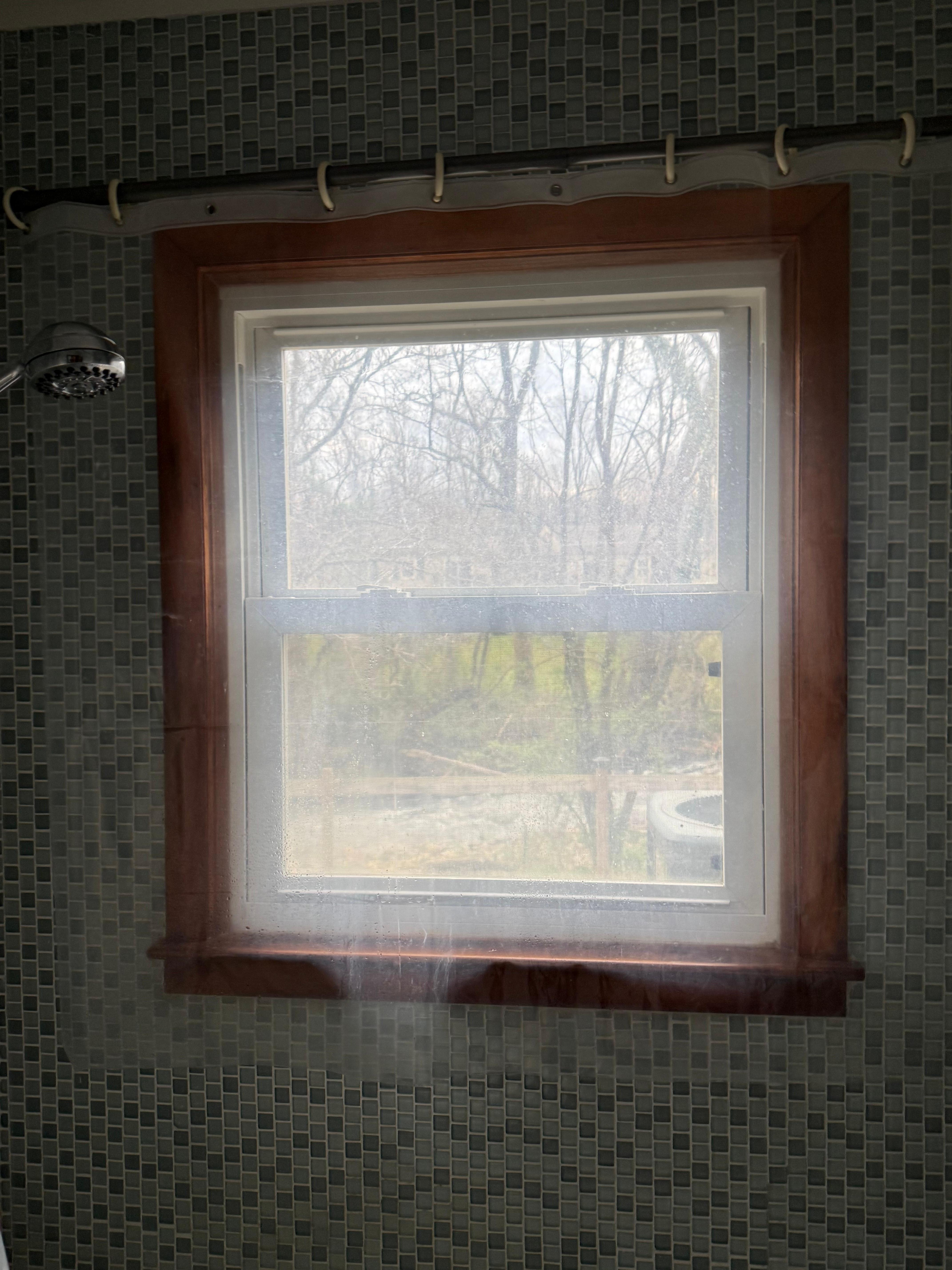 Bathroom shower window