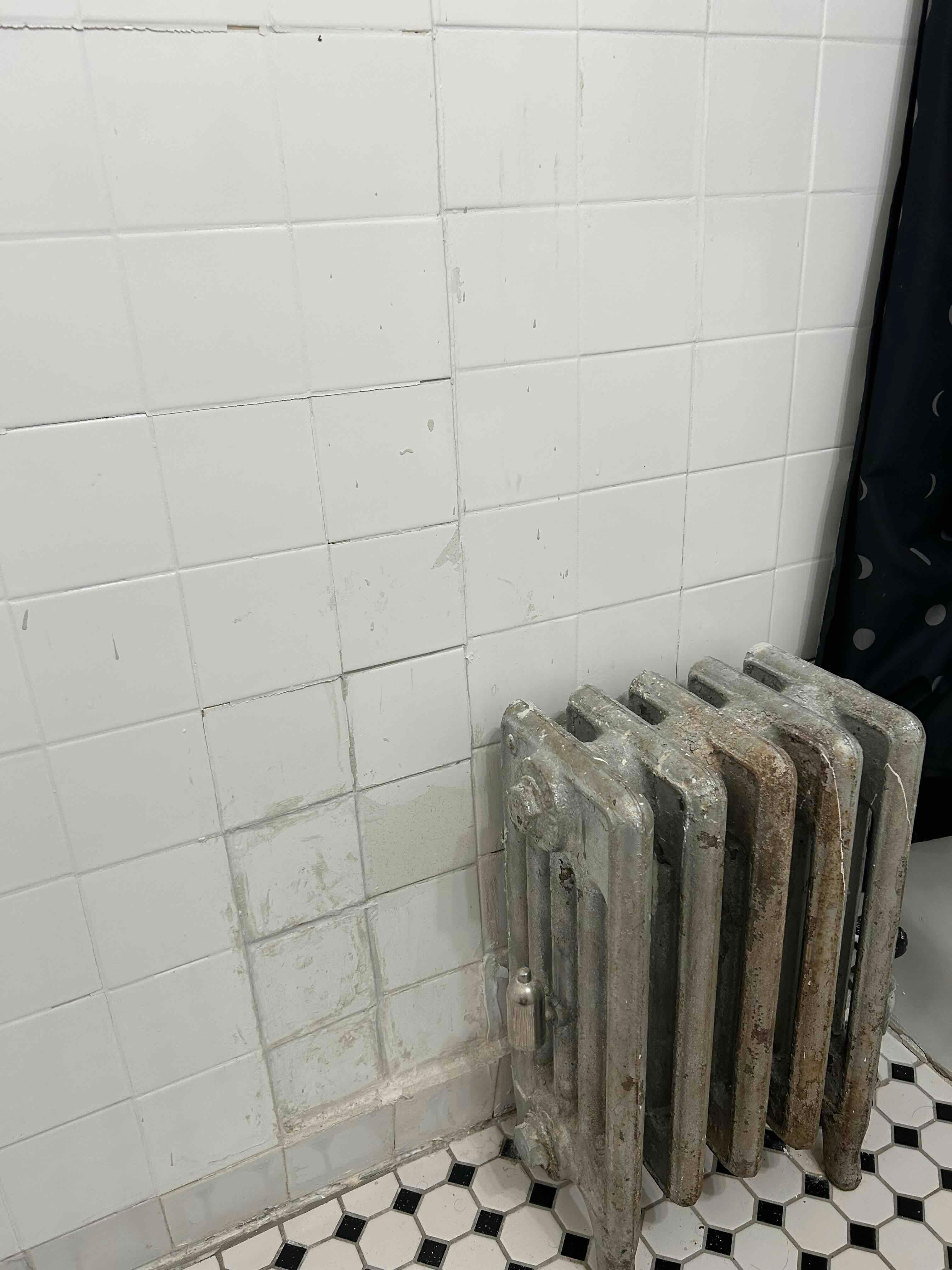 State of bathroom old, and disrepair.