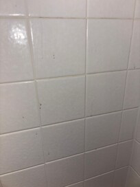 Dirt in the shower