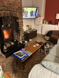 Our dog loved his stay