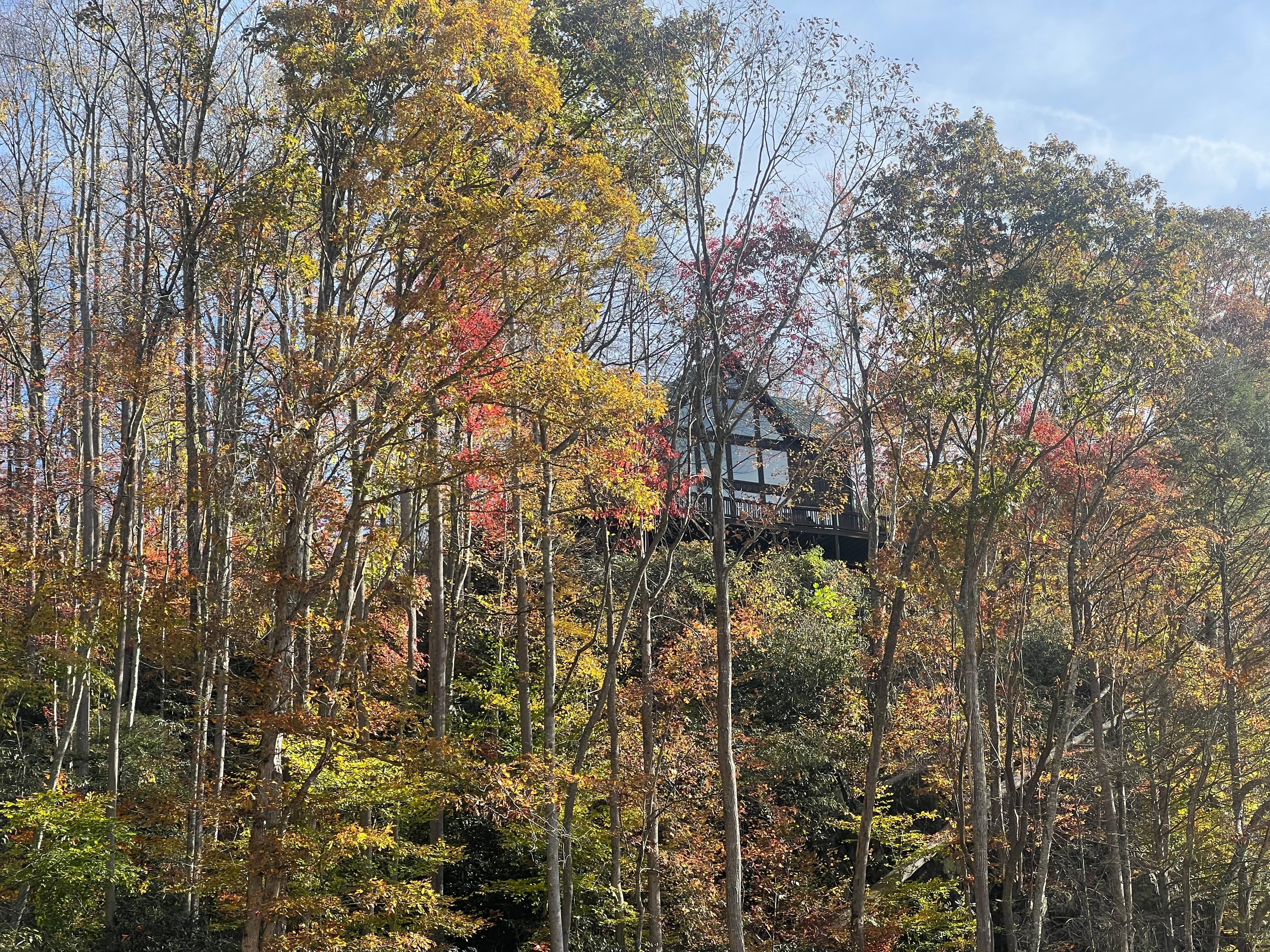 Cabin view from river 