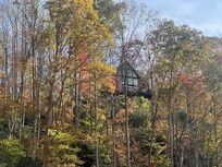 Cabin view from river