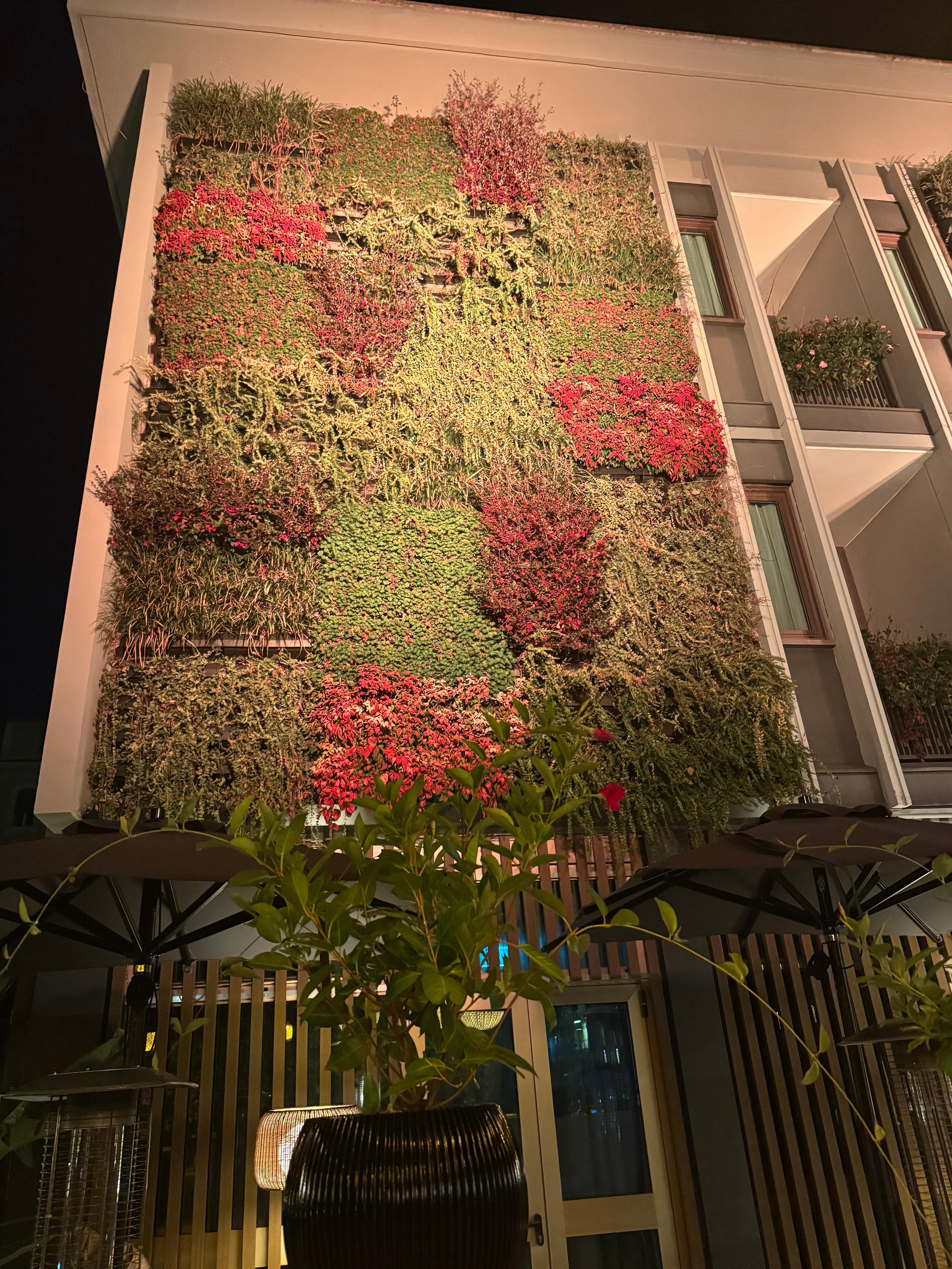 Outdoor living wall at the onsite, charming restaurant, Antela