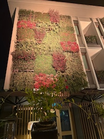 Outdoor living wall at the onsite, charming restaurant, Antela