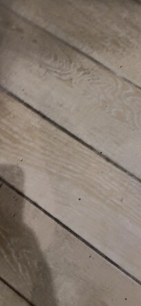 Dirty floors