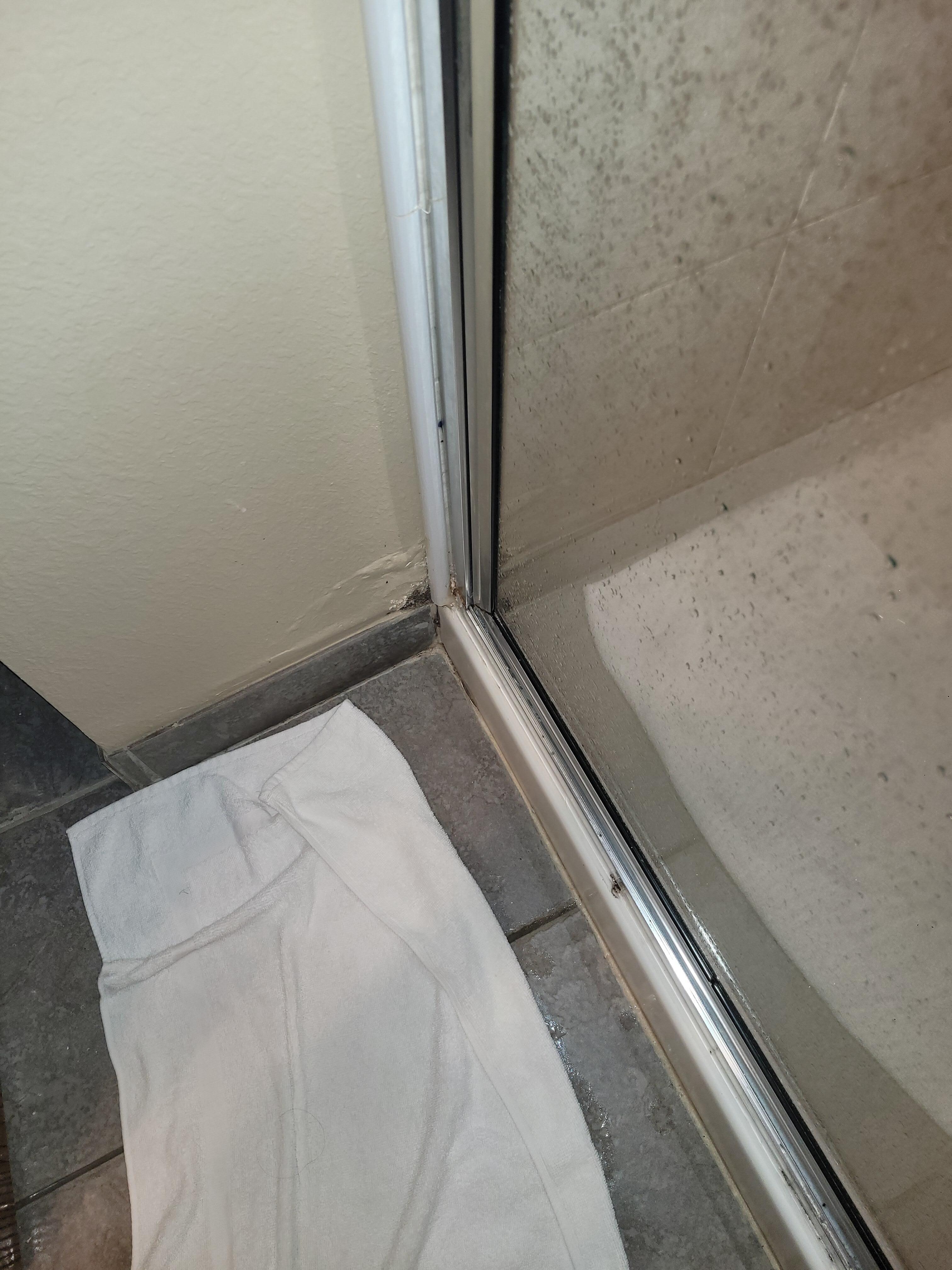 mold