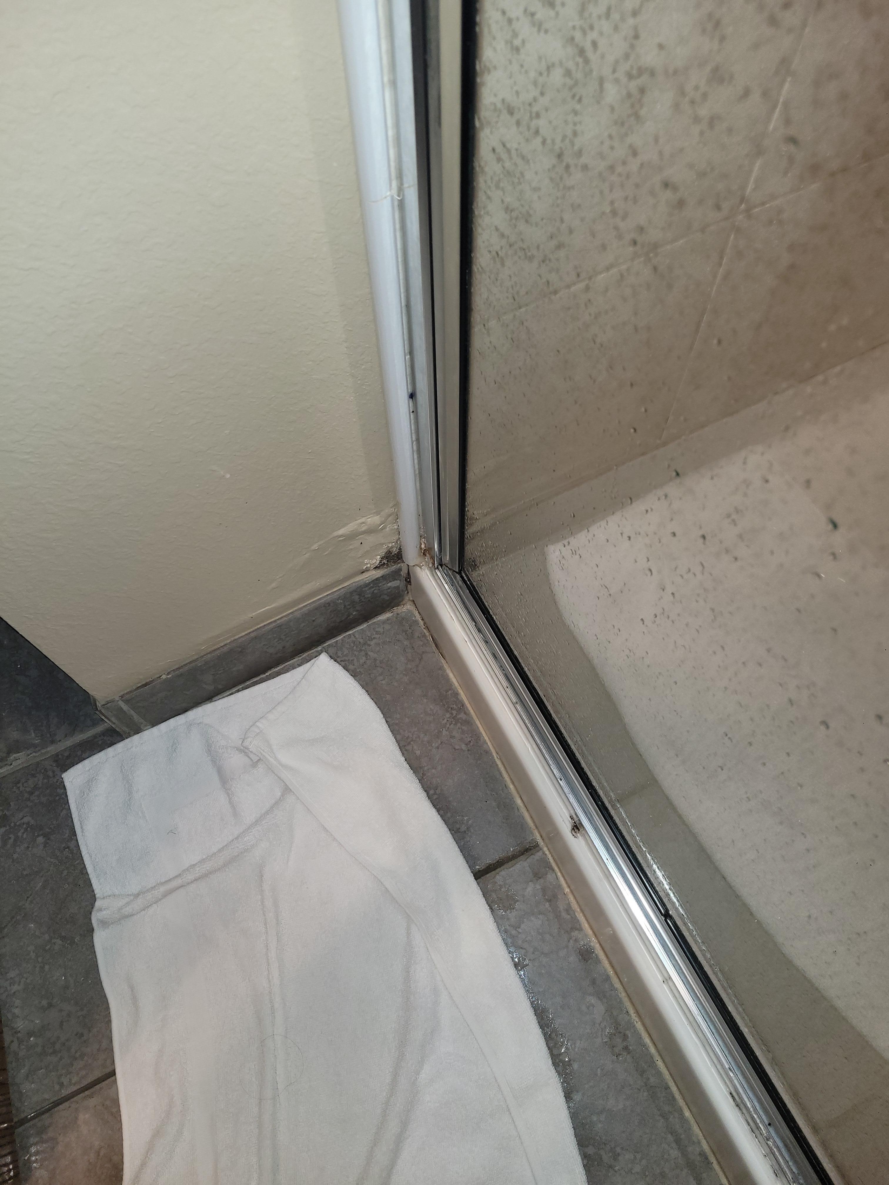 mold