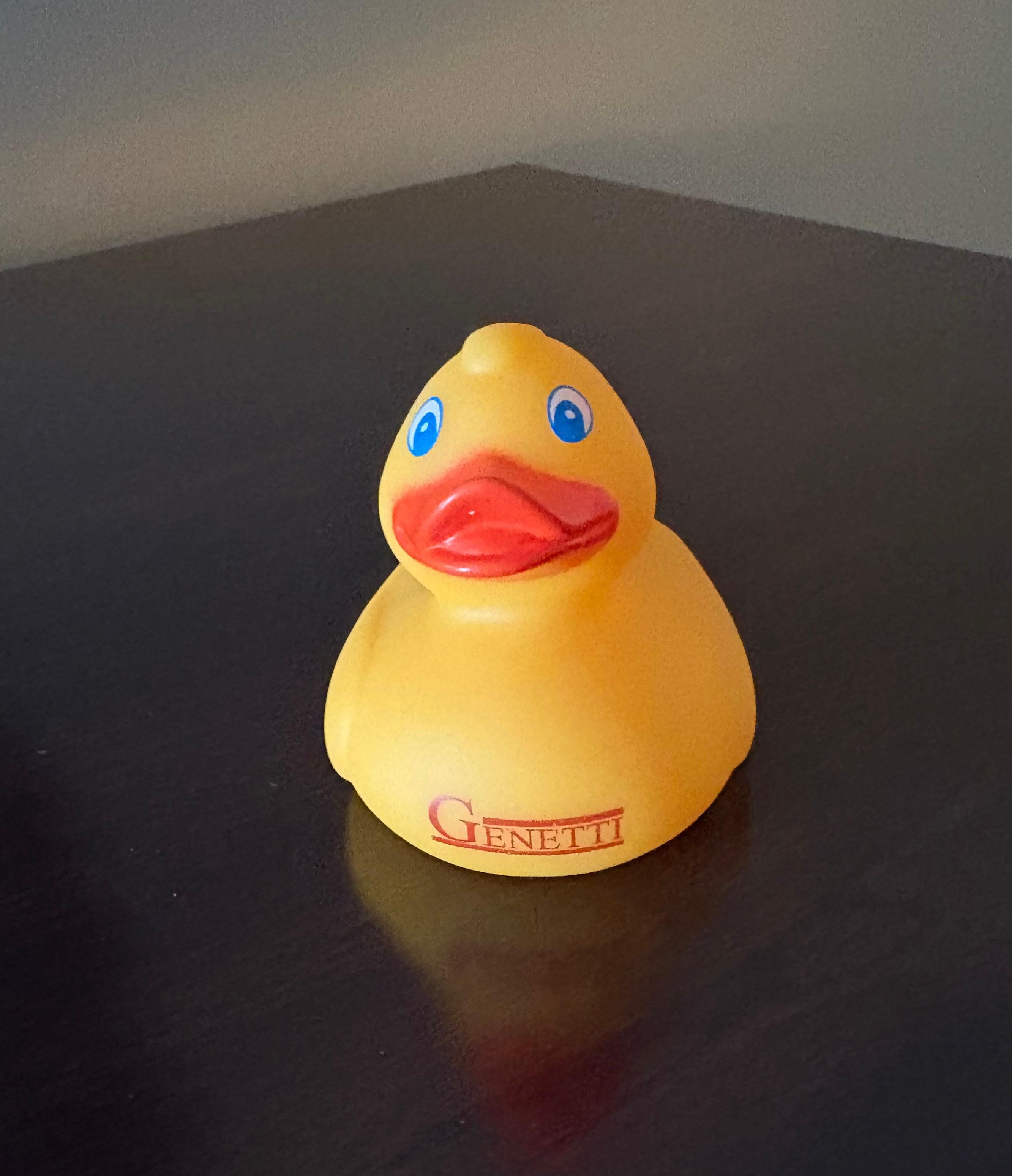 The rubber duck is was a big hit with my young adult granddaughter who shared the room with me.