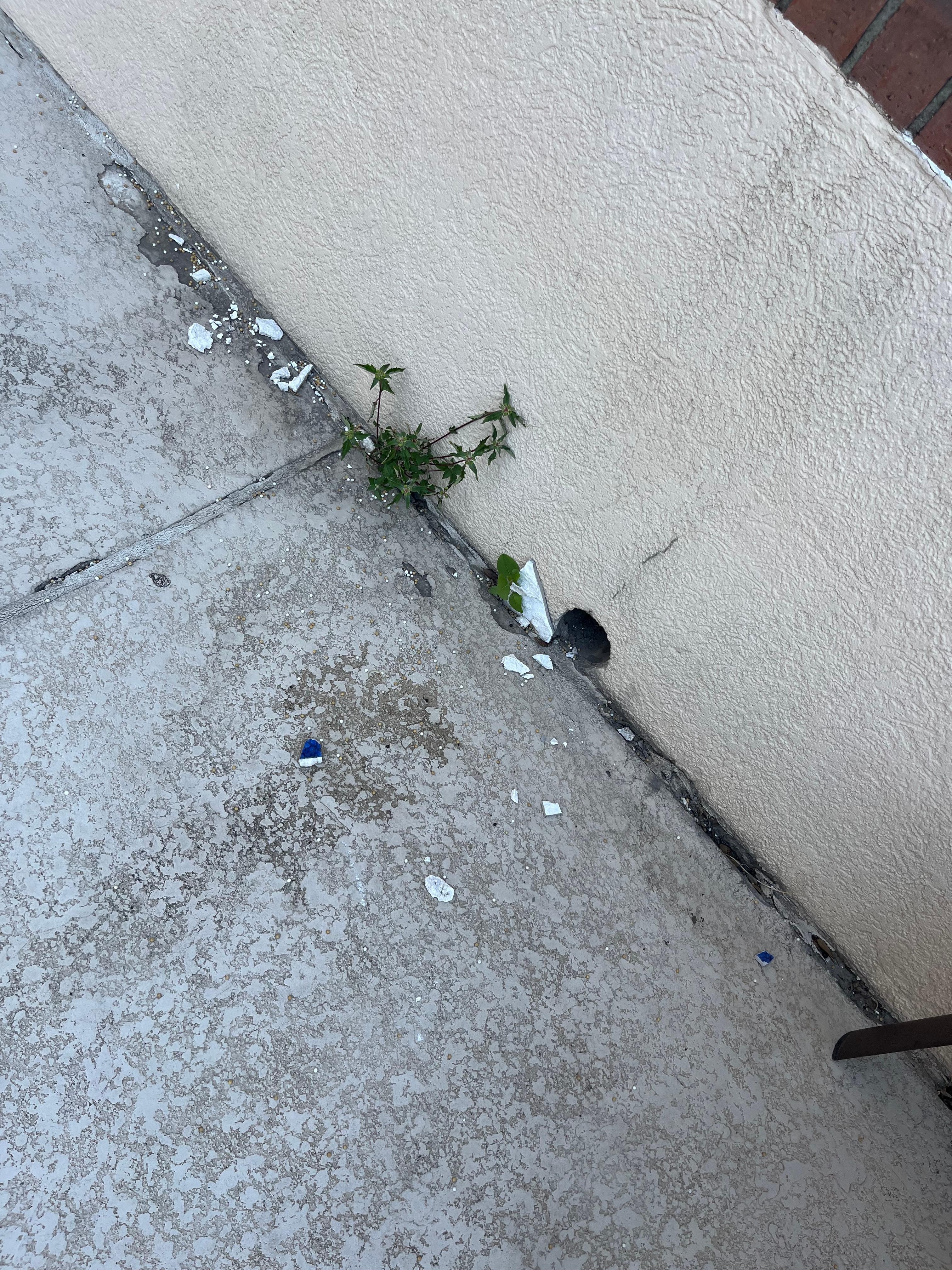 Seit Jahren in der Pool area nicht gekehrt