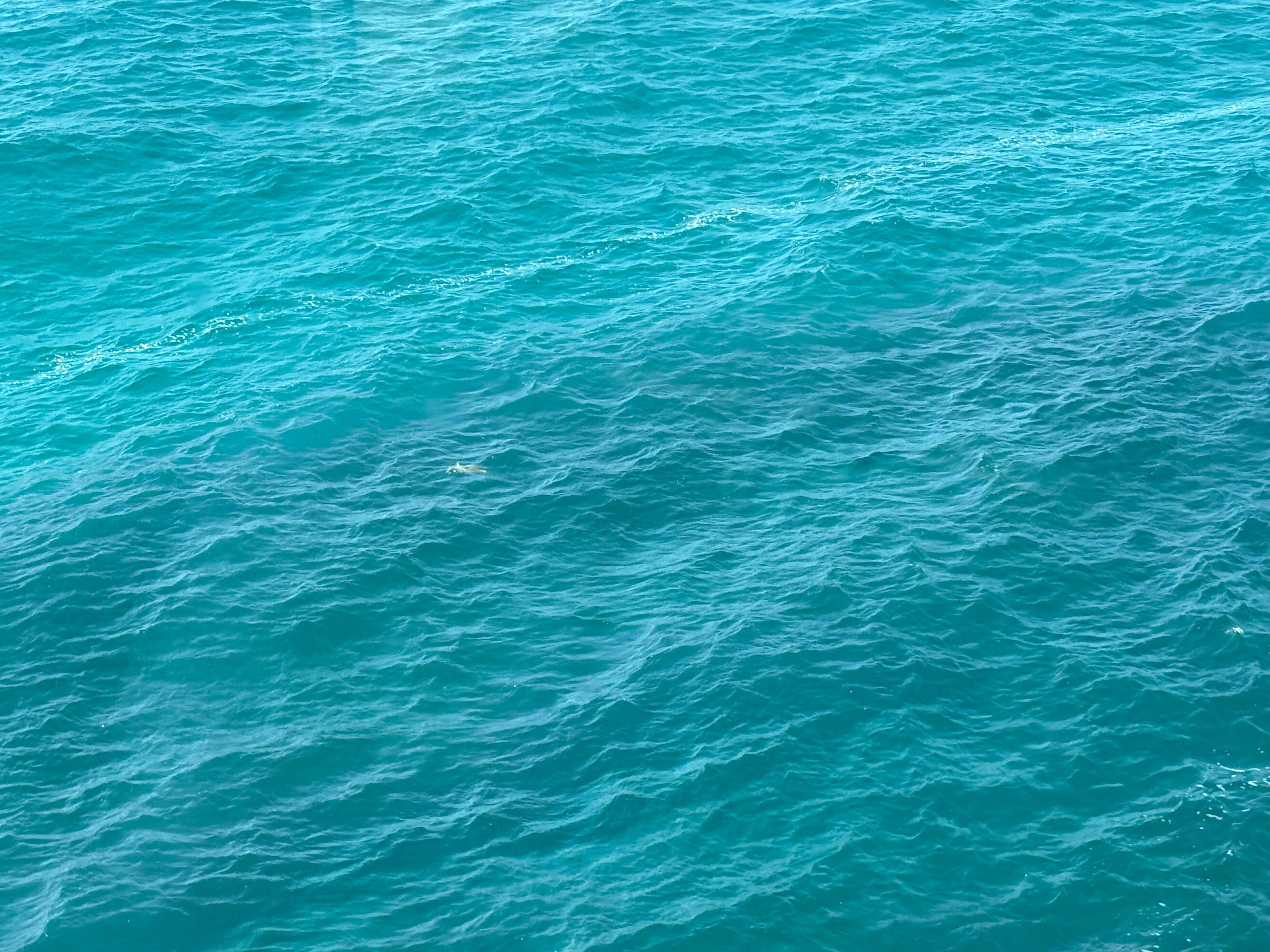 Do see the color of that ocean?