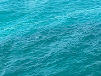 Do see the color of that ocean?